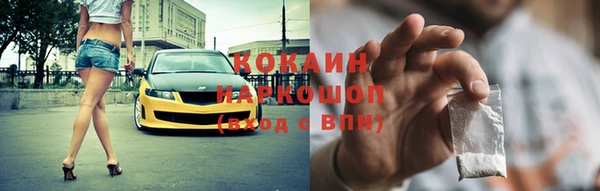 гашик Михайлов
