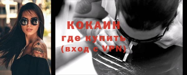 шишки Михайловка