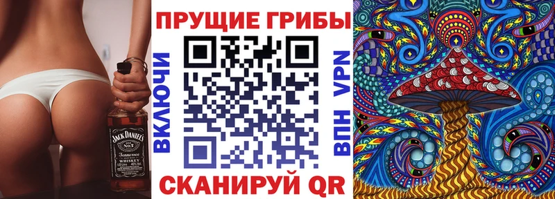 Галлюциногенные грибы GOLDEN TEACHER  Торопец 